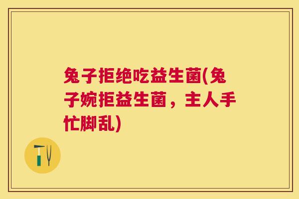 兔子拒绝吃益生菌(兔子婉拒益生菌，主人手忙脚乱)