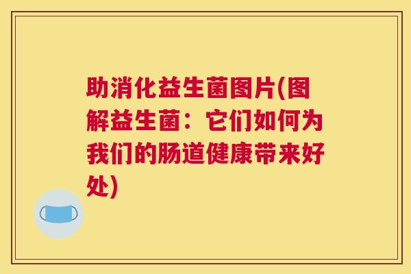 助消化益生菌图片(图解益生菌：它们如何为我们的肠道健康带来好处)