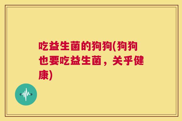 吃益生菌的狗狗(狗狗也要吃益生菌，关乎健康)