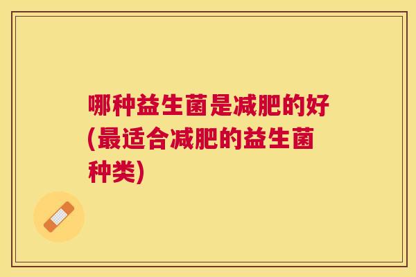 哪种益生菌是减肥的好(最适合减肥的益生菌种类)