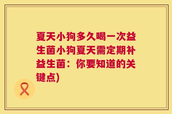 夏天小狗多久喝一次益生菌小狗夏天需定期补益生菌：你要知道的关键点)
