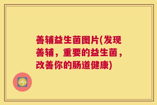 善辅益生菌图片(发现善辅，重要的益生菌，改善你的肠道健康)