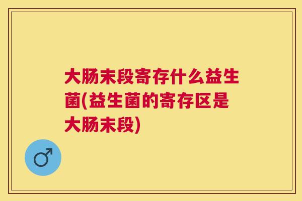 大肠末段寄存什么益生菌(益生菌的寄存区是大肠末段)