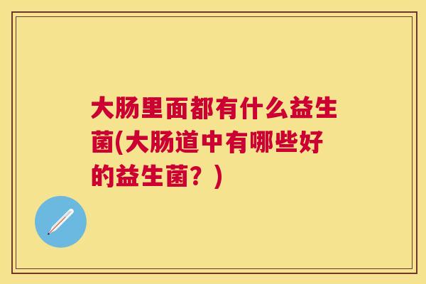 大肠里面都有什么益生菌(大肠道中有哪些好的益生菌？)