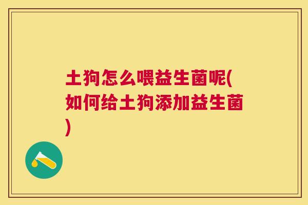 土狗怎么喂益生菌呢(如何给土狗添加益生菌)