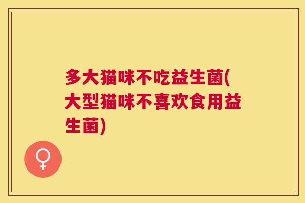 多大猫咪不吃益生菌(大型猫咪不喜欢食用益生菌)
