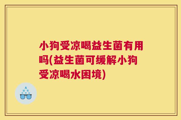 小狗受凉喝益生菌有用吗(益生菌可缓解小狗受凉喝水困境)