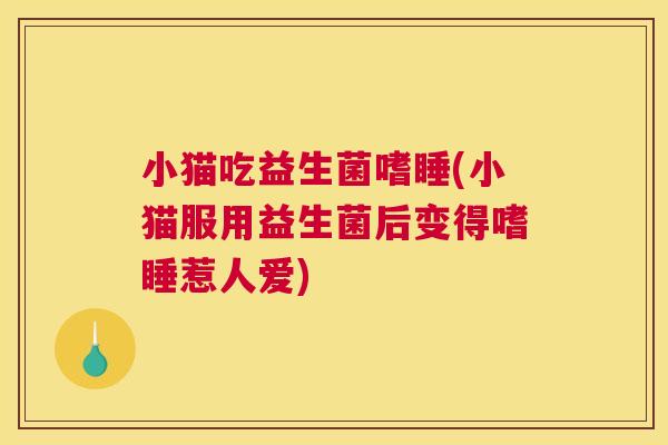 小猫吃益生菌嗜睡(小猫服用益生菌后变得嗜睡惹人爱)