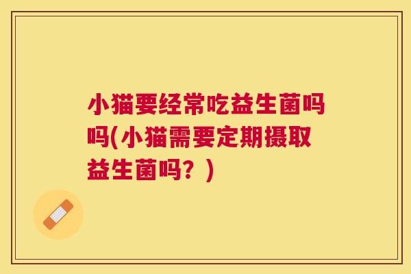 小猫要经常吃益生菌吗吗(小猫需要定期摄取益生菌吗？)