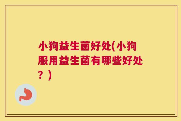 小狗益生菌好处(小狗服用益生菌有哪些好处？)