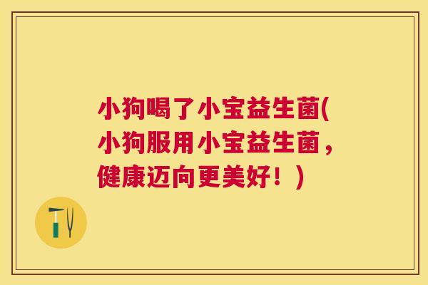 小狗喝了小宝益生菌(小狗服用小宝益生菌，健康迈向更美好！)