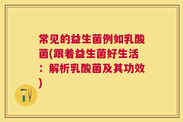 常见的益生菌例如乳酸菌(跟着益生菌好生活：解析乳酸菌及其功效)