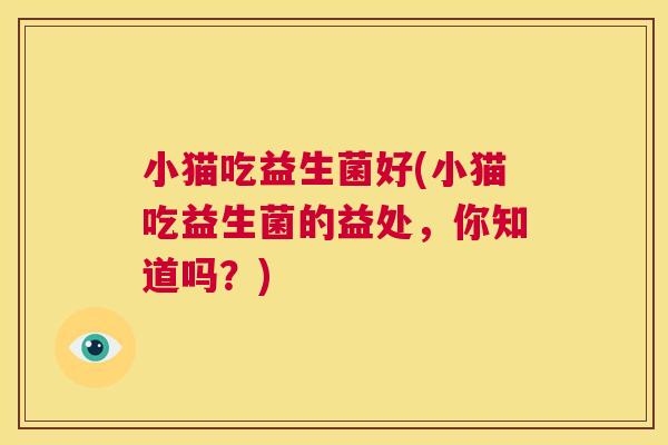 小猫吃益生菌好(小猫吃益生菌的益处，你知道吗？)