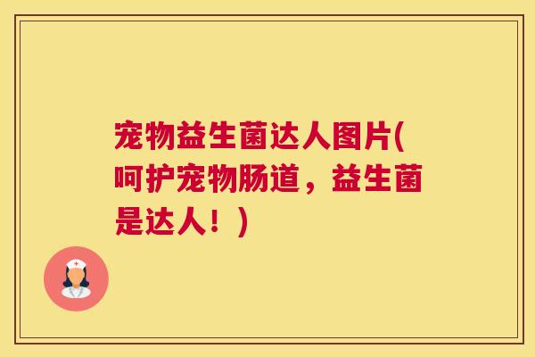 宠物益生菌达人图片(呵护宠物肠道，益生菌是达人！)