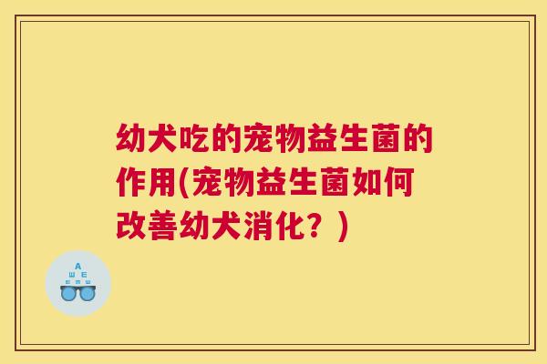 幼犬吃的宠物益生菌的作用(宠物益生菌如何改善幼犬消化？)
