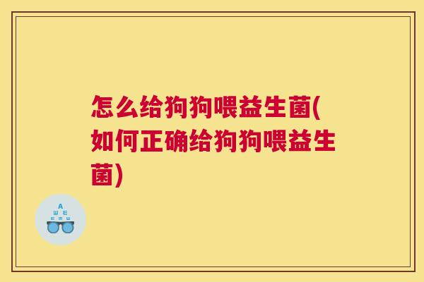 怎么给狗狗喂益生菌(如何正确给狗狗喂益生菌)