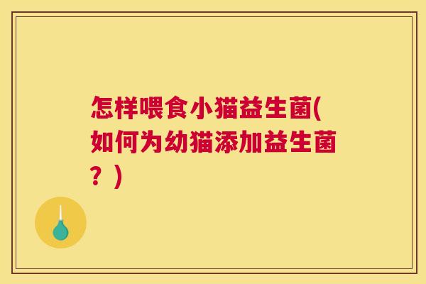 怎样喂食小猫益生菌(如何为幼猫添加益生菌？)