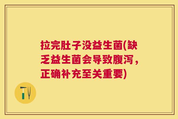 拉完肚子没益生菌(缺乏益生菌会导致腹泻，正确补充至关重要)