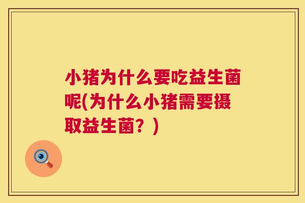 小猪为什么要吃益生菌呢(为什么小猪需要摄取益生菌？)