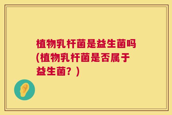 植物乳杆菌是益生菌吗(植物乳杆菌是否属于益生菌？)