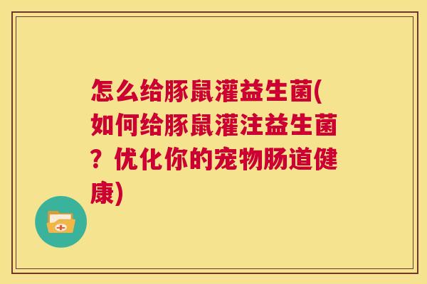 怎么给豚鼠灌益生菌(如何给豚鼠灌注益生菌？优化你的宠物肠道健康)