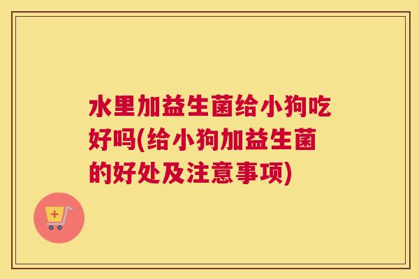 水里加益生菌给小狗吃好吗(给小狗加益生菌的好处及注意事项)