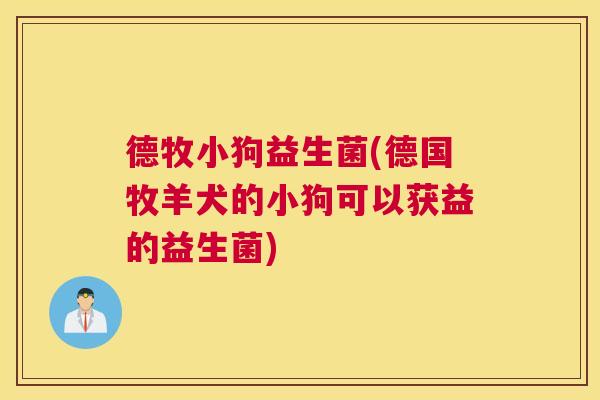 德牧小狗益生菌(德国牧羊犬的小狗可以获益的益生菌)