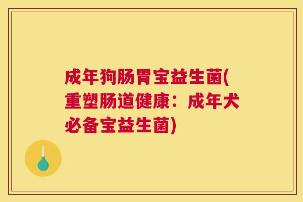成年狗肠胃宝益生菌(重塑肠道健康：成年犬必备宝益生菌)
