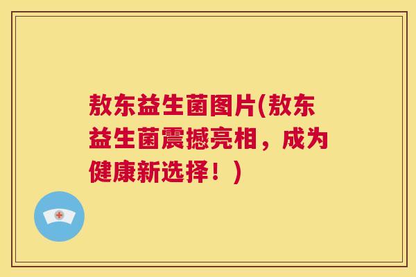 敖东益生菌图片(敖东益生菌震撼亮相，成为健康新选择！)