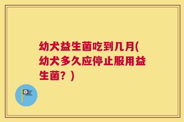 幼犬益生菌吃到几月(幼犬多久应停止服用益生菌？)