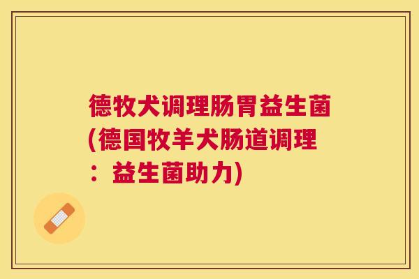 德牧犬调理肠胃益生菌(德国牧羊犬肠道调理：益生菌助力)
