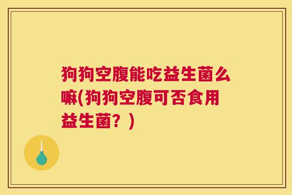 狗狗空腹能吃益生菌么嘛(狗狗空腹可否食用益生菌？)
