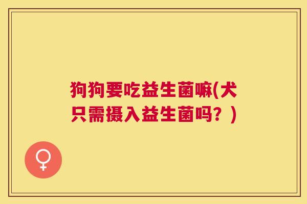 狗狗要吃益生菌嘛(犬只需摄入益生菌吗？)