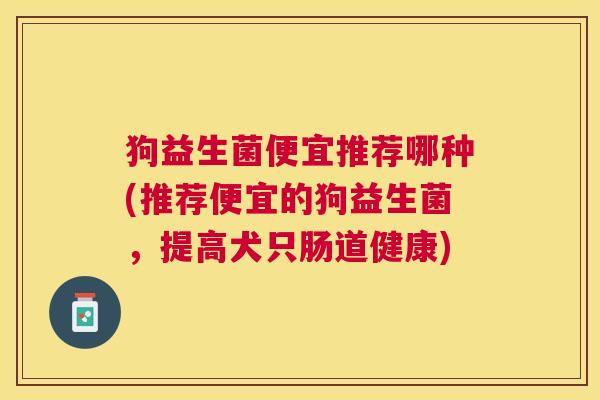 狗益生菌便宜推荐哪种(推荐便宜的狗益生菌，提高犬只肠道健康)