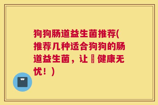 狗狗肠道益生菌推荐(推荐几种适合狗狗的肠道益生菌，让牠健康无忧！)