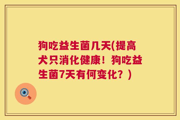 狗吃益生菌几天(提高犬只消化健康！狗吃益生菌7天有何变化？)