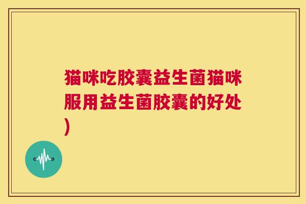 猫咪吃胶囊益生菌猫咪服用益生菌胶囊的好处)