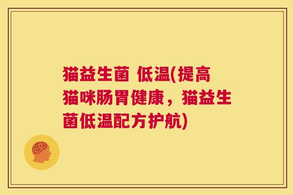 猫益生菌 低温(提高猫咪肠胃健康，猫益生菌低温配方护航)