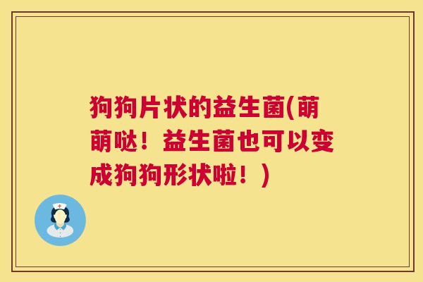 狗狗片状的益生菌(萌萌哒！益生菌也可以变成狗狗形状啦！)