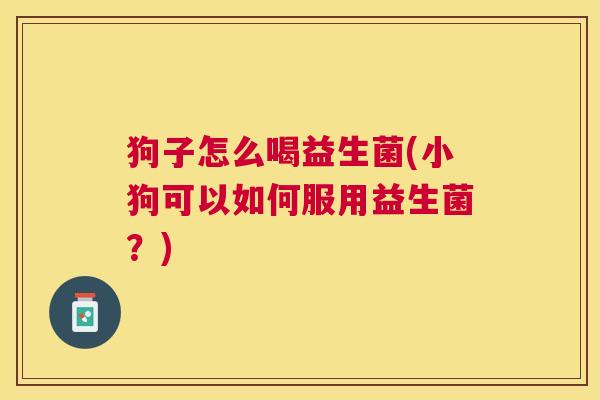 狗子怎么喝益生菌(小狗可以如何服用益生菌？)