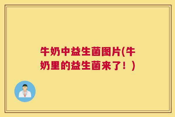 牛奶中益生菌图片(牛奶里的益生菌来了！)