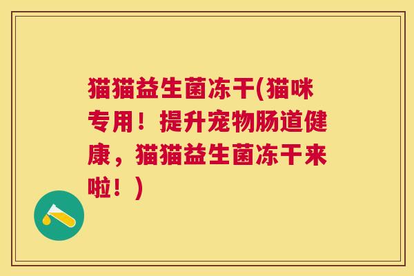 猫猫益生菌冻干(猫咪专用！提升宠物肠道健康，猫猫益生菌冻干来啦！)