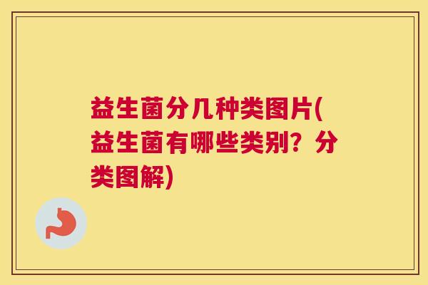 益生菌分几种类图片(益生菌有哪些类别？分类图解)