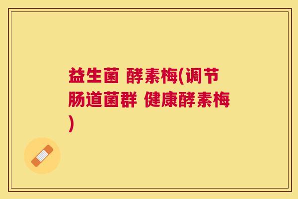 益生菌 酵素梅(调节肠道菌群 健康酵素梅)