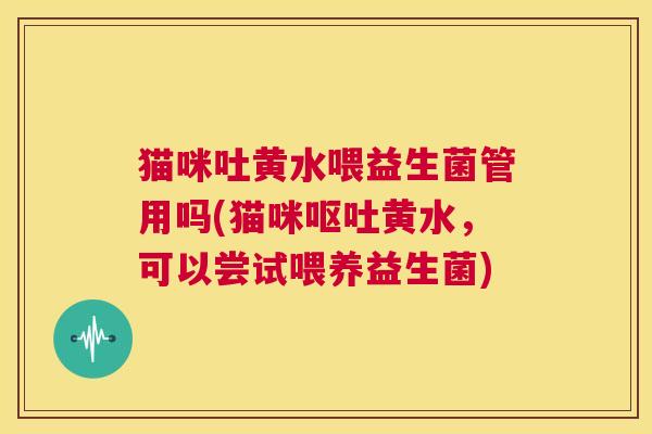 猫咪吐黄水喂益生菌管用吗(猫咪呕吐黄水，可以尝试喂养益生菌)