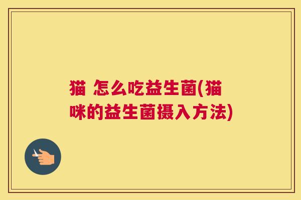 猫 怎么吃益生菌(猫咪的益生菌摄入方法)