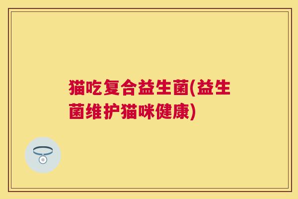 猫吃复合益生菌(益生菌维护猫咪健康)