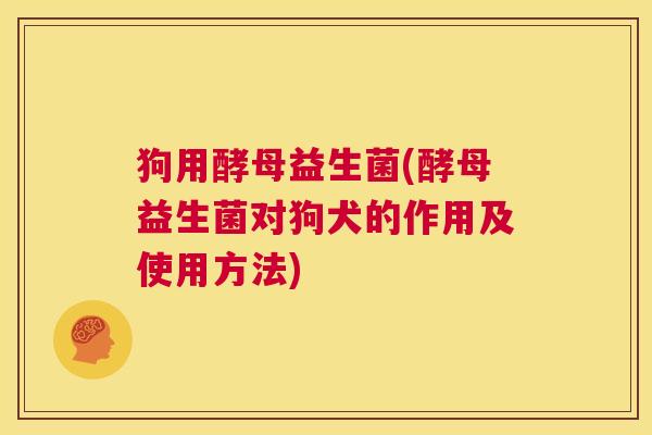 狗用酵母益生菌(酵母益生菌对狗犬的作用及使用方法)