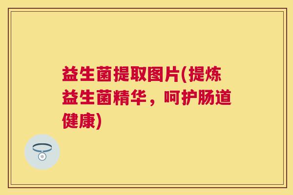 益生菌提取图片(提炼益生菌精华，呵护肠道健康)