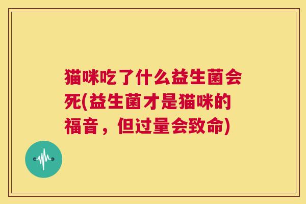 猫咪吃了什么益生菌会死(益生菌才是猫咪的福音，但过量会致命)